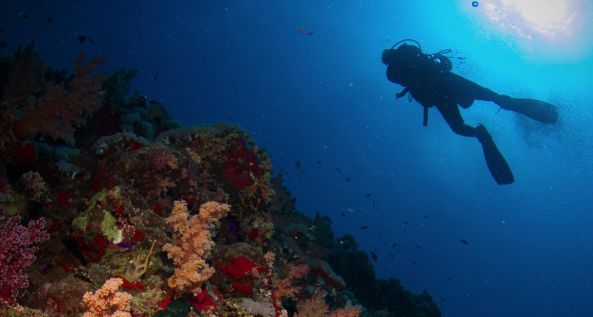 Scuba Diving Aquarius