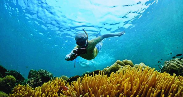 Padi Scuba Diver Course