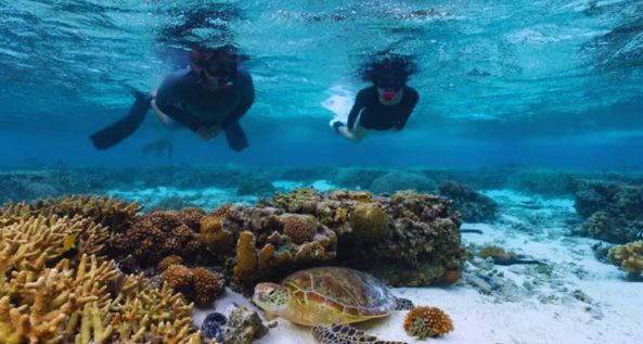 Padi Scuba Diver Course