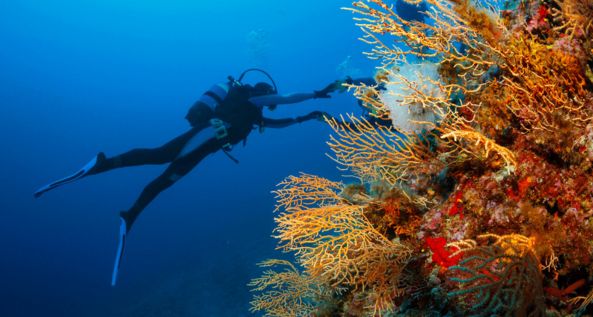Scuba Diving at Aquarius