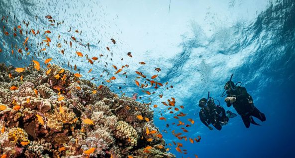 Scuba Diving at Aquarius