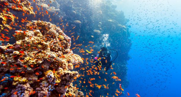 Scuba Diving Aquarius