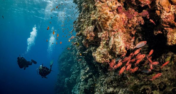 Discover Scuba Diving