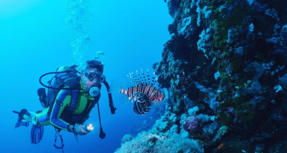 Discover Scuba Diving