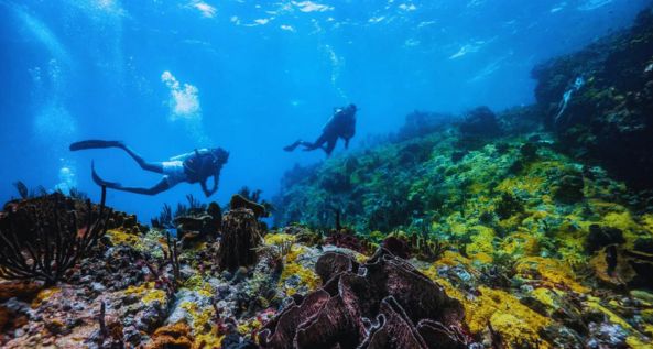 Scuba Diving Aquarius