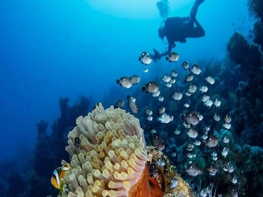 Scuba Diving at Aquarius