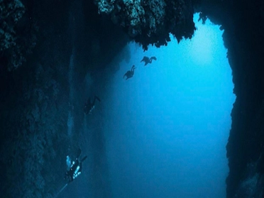Scuba Diving Aquarius