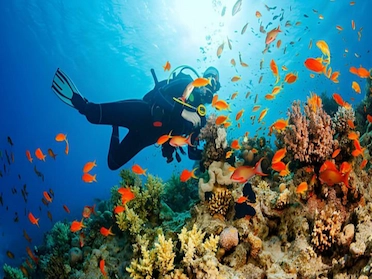 Discover Scuba Diving