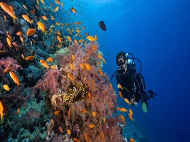 Scuba Diving Aquarius