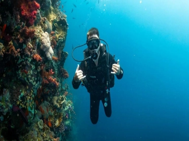 Scuba Diving at Aquarius
