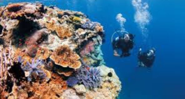 Scuba Diving at Aquarius